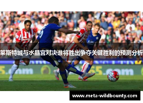 莱斯特城与水晶宫对决谁将胜出争夺关键胜利的预测分析