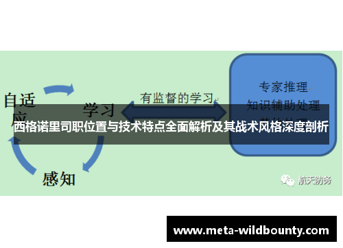 西格诺里司职位置与技术特点全面解析及其战术风格深度剖析 西格诺里司职位置与技术特点全面解析及其战术风格深度剖析