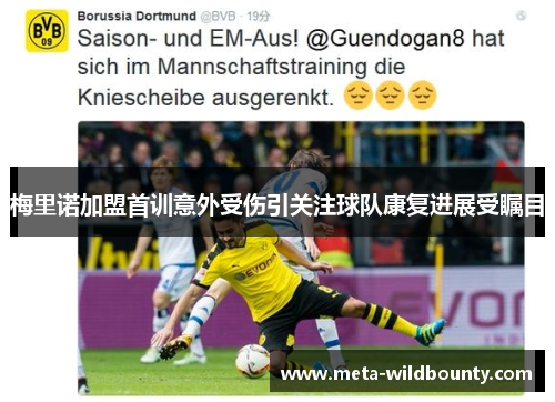 梅里诺加盟首训意外受伤引关注球队康复进展受瞩目 梅里诺加盟首训意外受伤引关注球队康复进展受瞩目